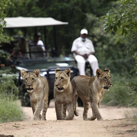 Karongwe Portfolio - Kuname Lodge Karongwe Game Reserve Zewnętrze zdjęcie