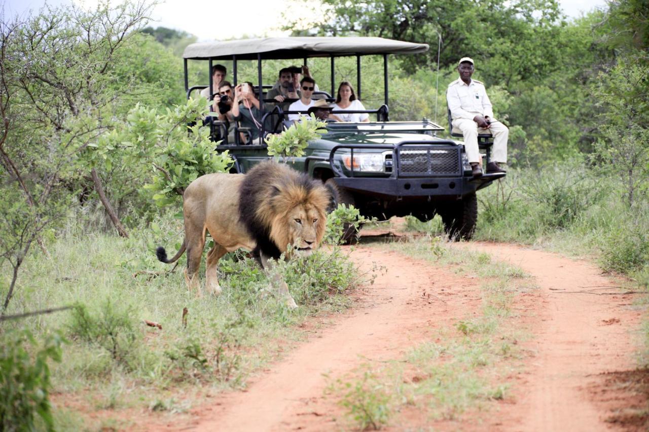 Karongwe Portfolio - Kuname Lodge Karongwe Game Reserve Zewnętrze zdjęcie