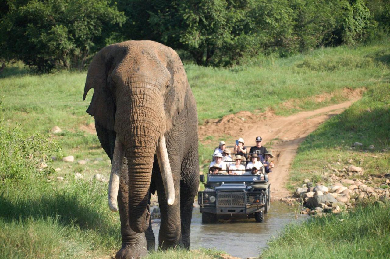 Karongwe Portfolio - Kuname Lodge Karongwe Game Reserve Zewnętrze zdjęcie