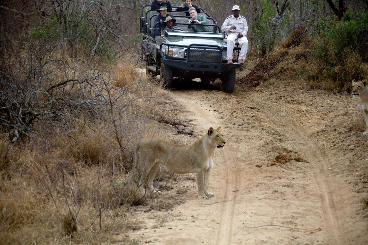 Karongwe Portfolio - Kuname Lodge Karongwe Game Reserve Zewnętrze zdjęcie