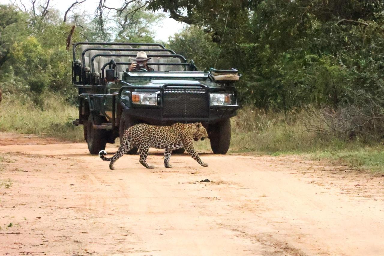 Karongwe Portfolio - Kuname Lodge Karongwe Game Reserve Zewnętrze zdjęcie
