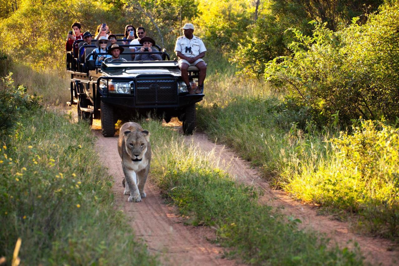 Karongwe Portfolio - Kuname Lodge Karongwe Game Reserve Zewnętrze zdjęcie
