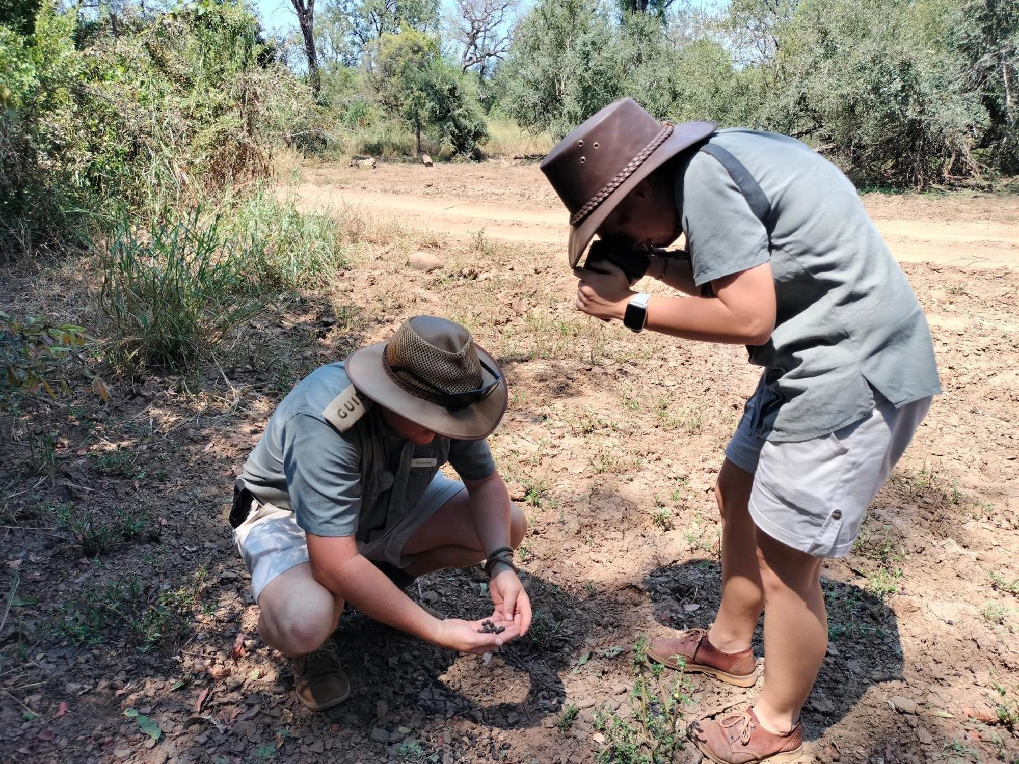 Karongwe Portfolio - Kuname Lodge Karongwe Game Reserve Zewnętrze zdjęcie