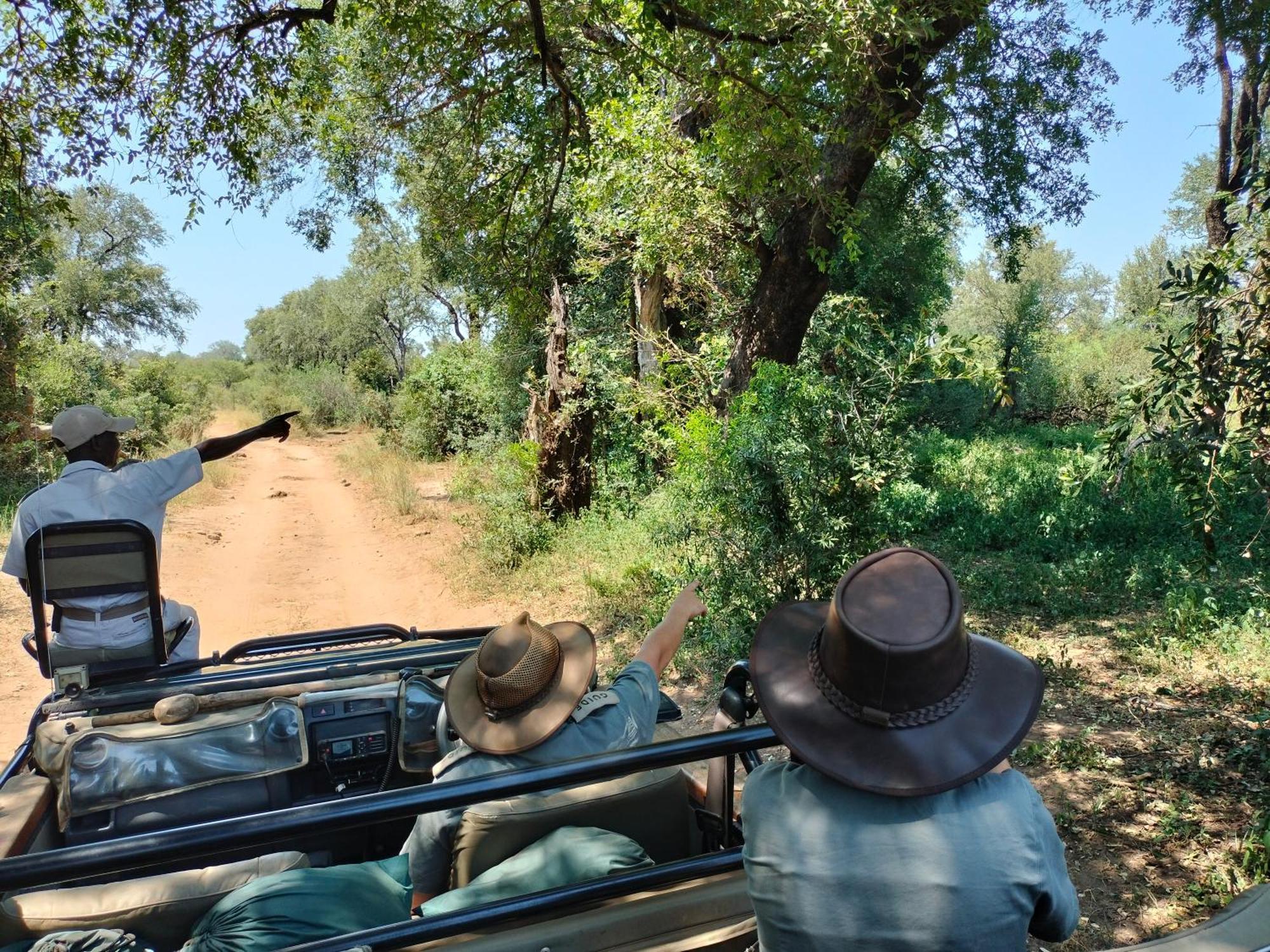 Karongwe Portfolio - Kuname Lodge Karongwe Game Reserve Zewnętrze zdjęcie