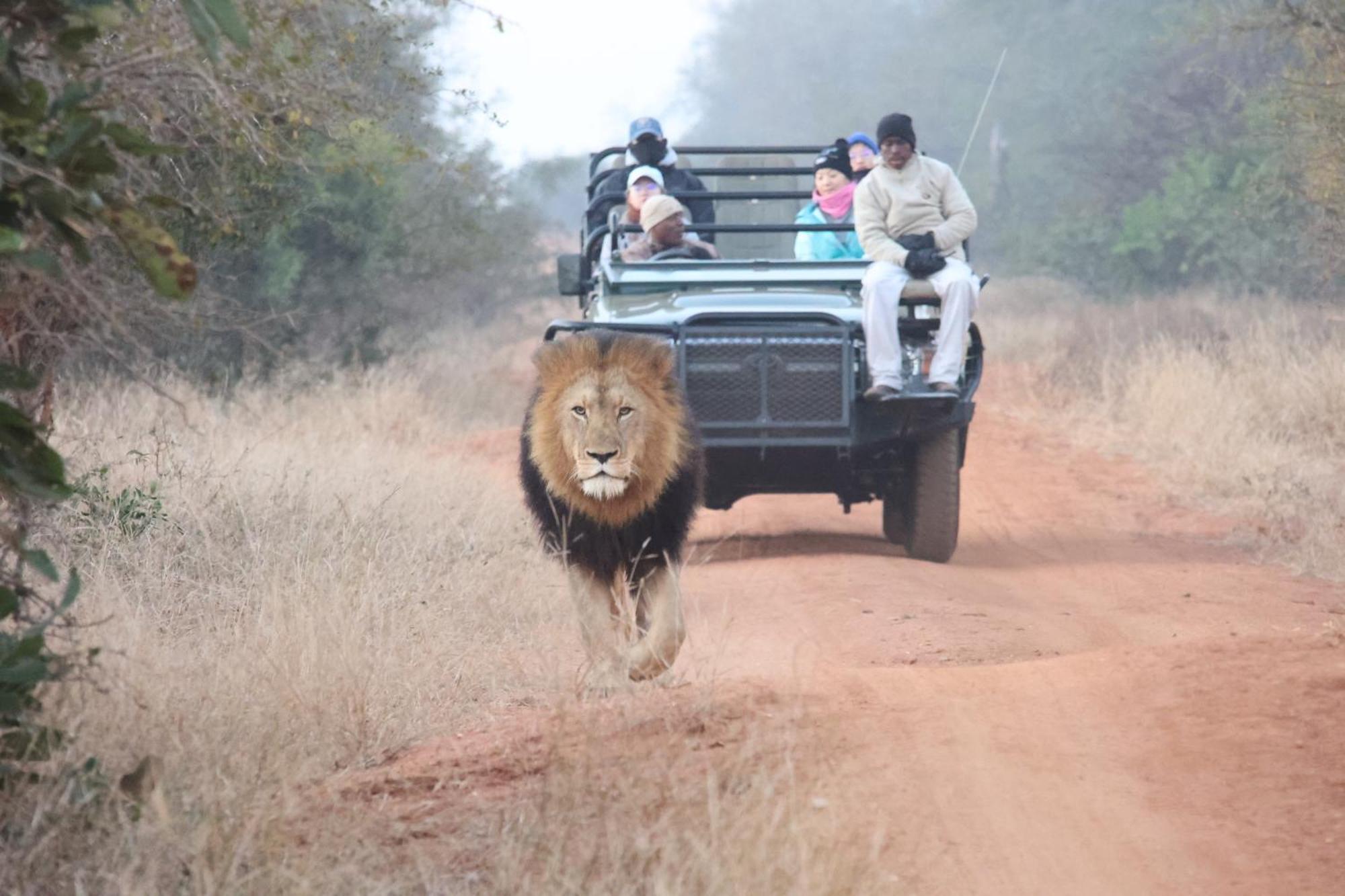 Karongwe Portfolio - Kuname Lodge Karongwe Game Reserve Zewnętrze zdjęcie